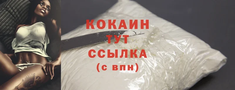 Cocaine FishScale  даркнет сайт  Карасук 