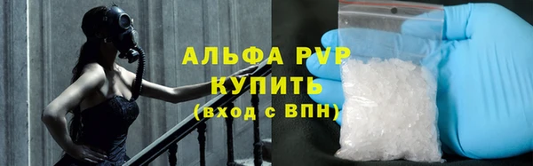 спиды Надым