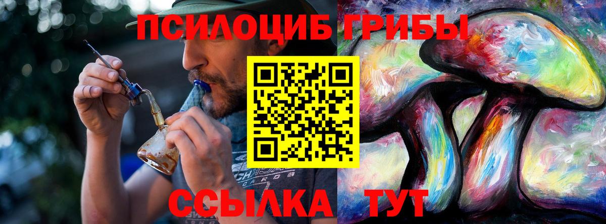 Карасук  Галлюциногенные грибы ЛСД  Вход с VPN 