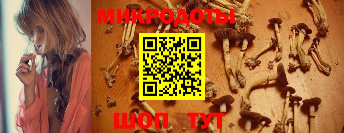 Псилоцибиновые грибы ЛСД  Карасук  Галлюциногенные грибы прущие грибы 